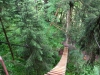 DSC00170